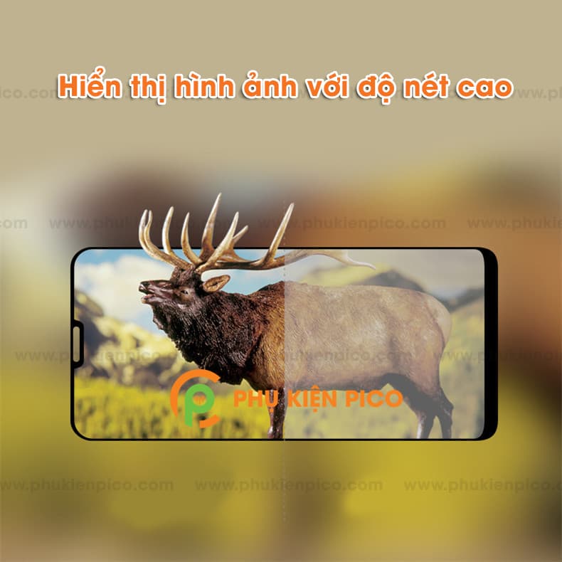 Cường lực Zenfone Max M2 2018 full viền - 4