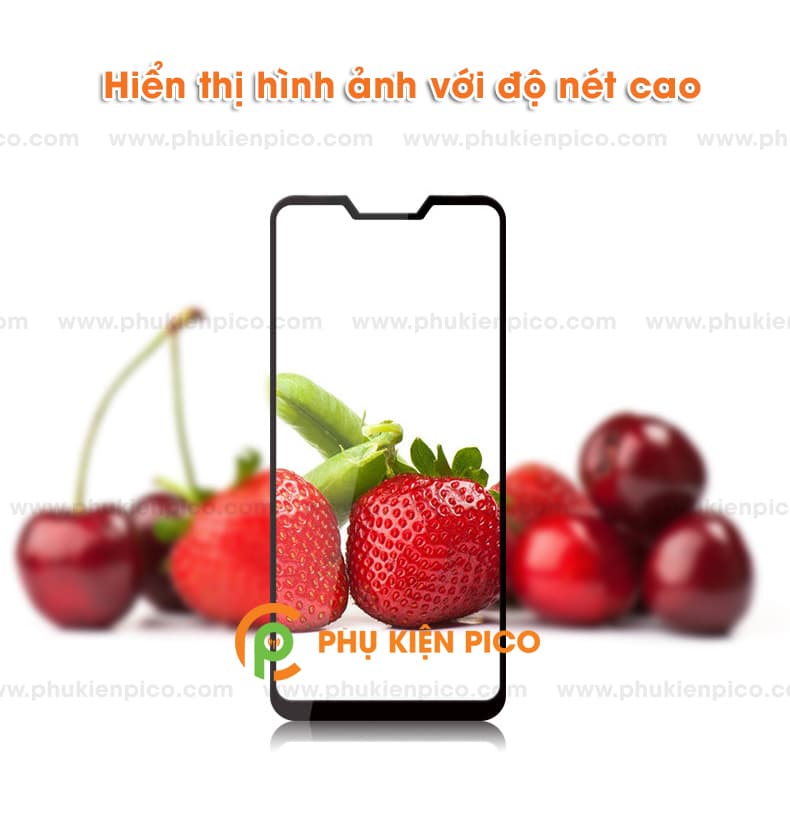 Cường lực Asus Zenfone Max Pro M2 full tràn viền Mocolo - 3
