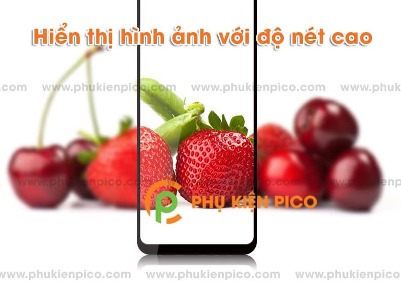 Cường lực Asus Zenfone Max M2 2018 full viền độ cứng 9H - 3