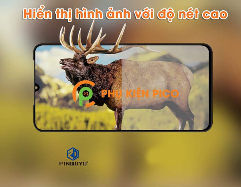 Kính cường lực Xiaomi Mi 9 full viền chính hãng PINWUYO - 5