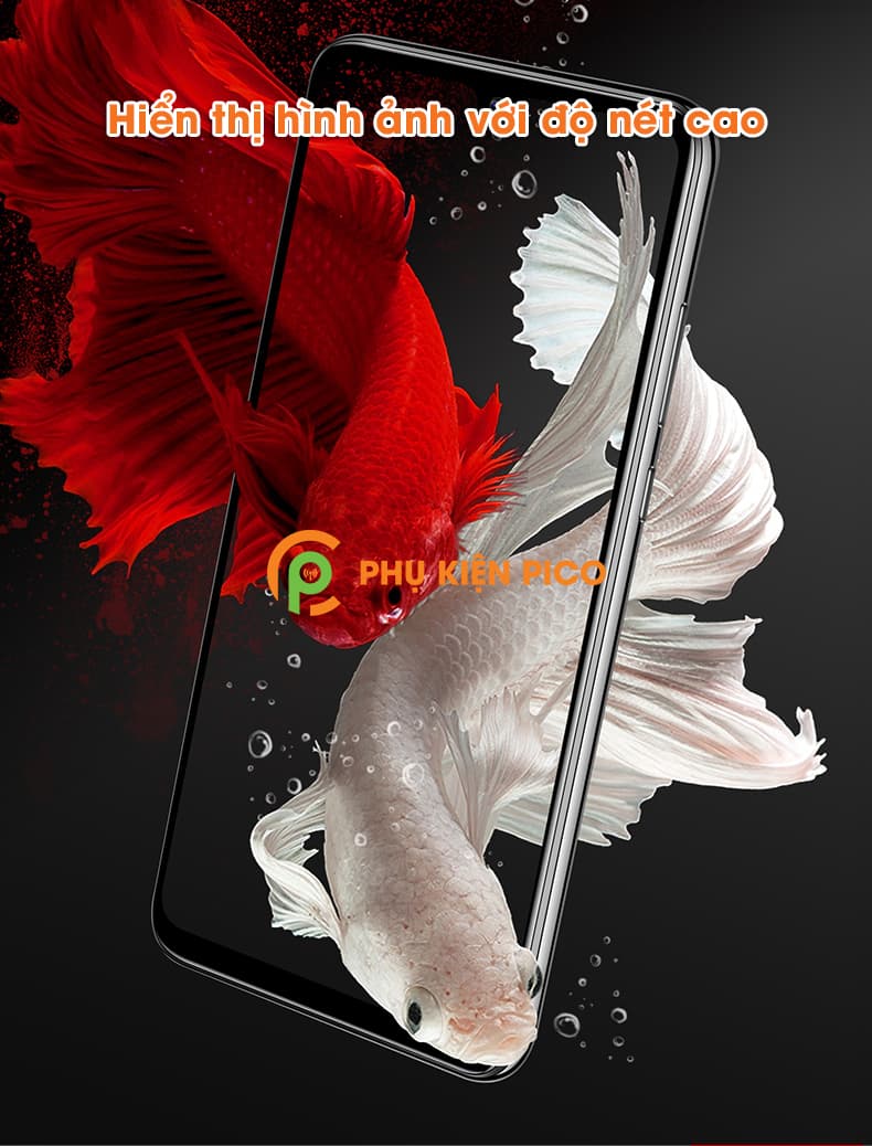 Combo miếng dán màn hình và mặt lưng Huawei P30 - 4