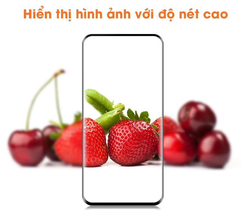 Kính cường lực OPPO Reno 10x Zoom Edition full viền độ cứng 9H - 3