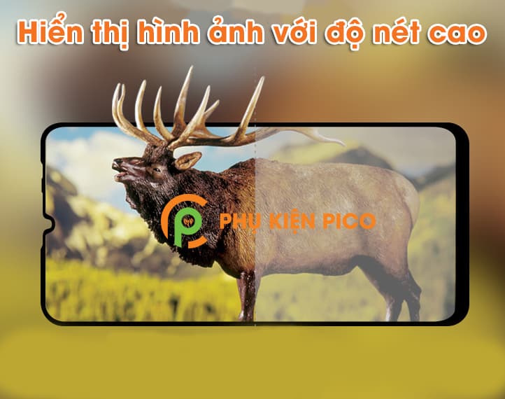 Kính cường lực Huawei P30 Lite full viền chính hãng Pinwuyo - 6