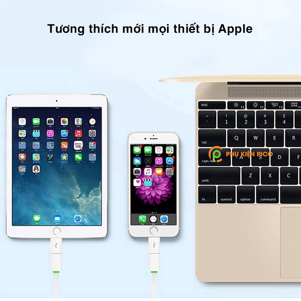 Đầu chuyển Micro USB sang Lightning dùng cho iPhone Ipad Ipod - Đầu chuyển Lightning sang Micro USB - 8